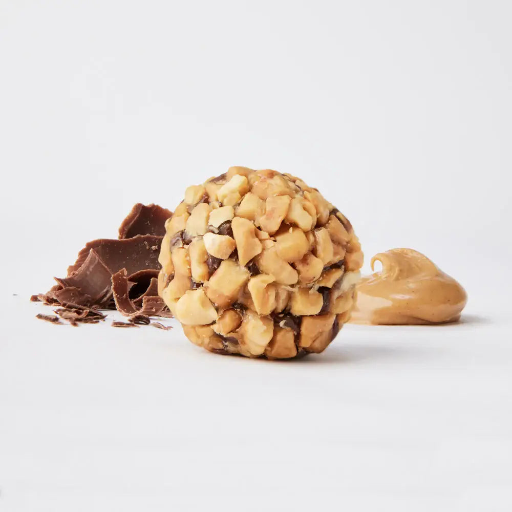 The GFB: Dark Chocolate Peanut Butter Protein Bites 4oz