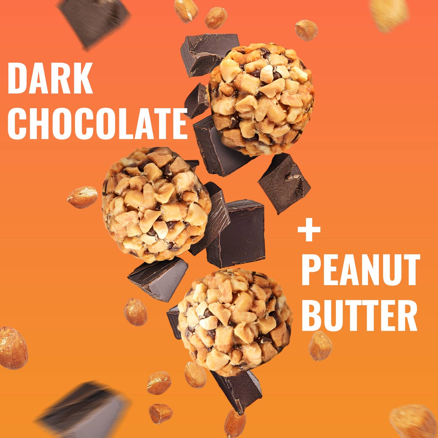The GFB: Dark Chocolate Peanut Butter Protein Bites 4oz