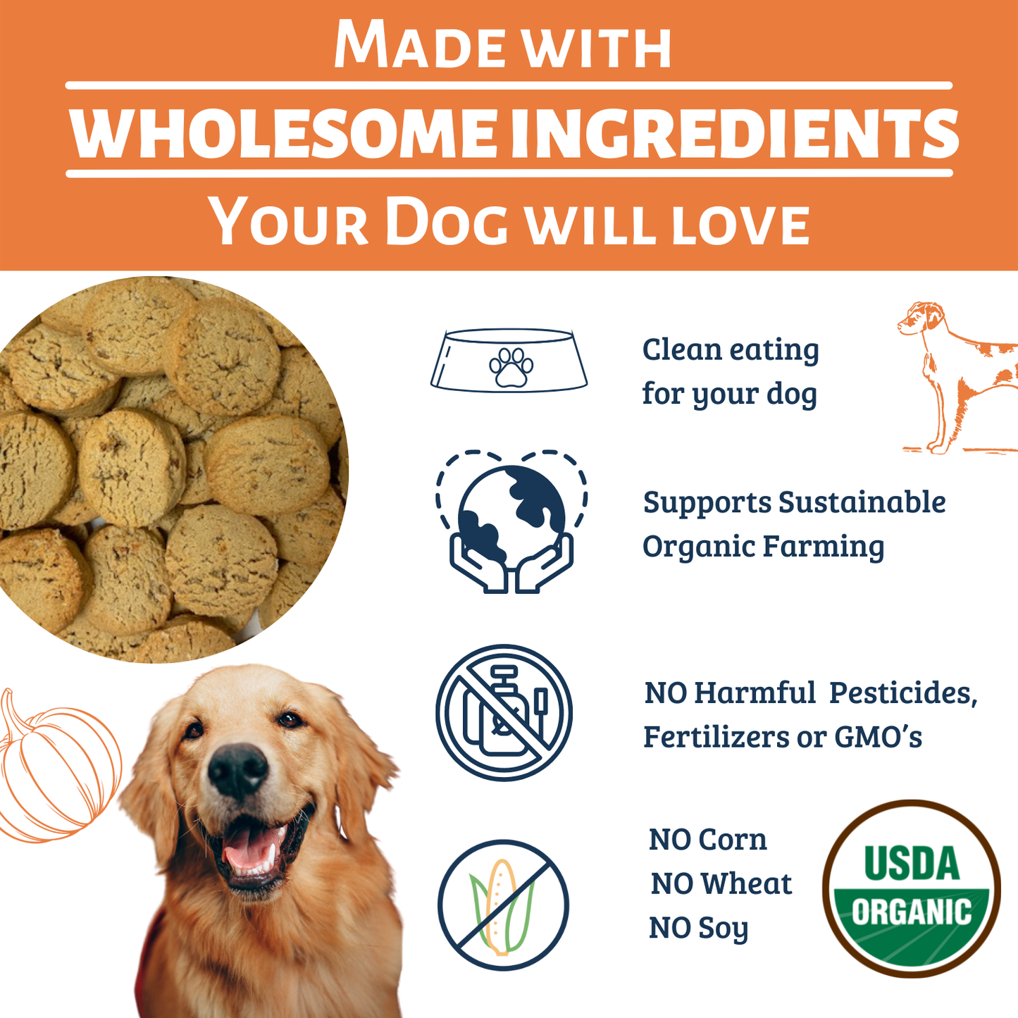 Gourmet Vegan Organic Dog Treats Assortment by Dog Mamma