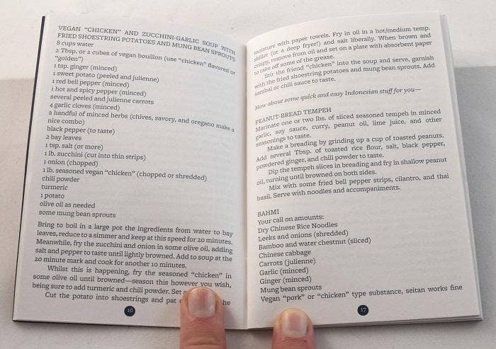 Fire & Ice: Vegan Recipes from Hot & Soul (Zine)