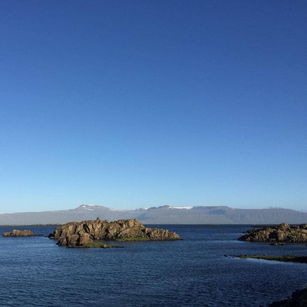 Wild Icelandic Kelp - Single Origin Spice & Seasoning